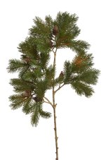 Umělá větvička smrku se šiškami 66 cm – zelená