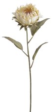 Umělý květ protea na stonku, květ 10cm/dl.72cm