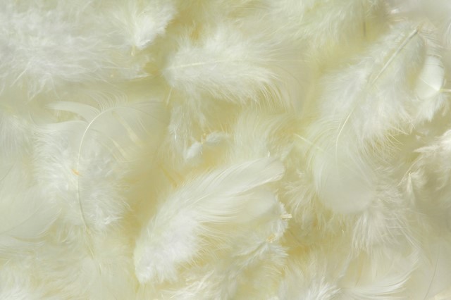 Přírodní barvené peří 7 - 12 cm, CREAM_CR