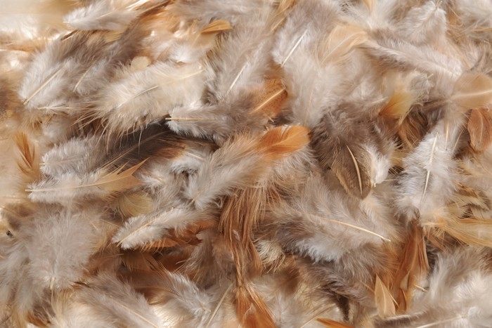 Přírodní peří 5 - 7 cm, 10g