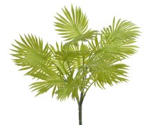 Palmové listy - svazek, dl.41cm, 6 větviček + 4 listy, barva 14