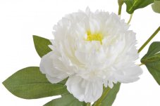 Umělá pivoňka s 2květy a poupětem, květ Ø10cm/ celková dl.65cm