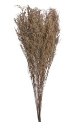 Svazek Limonium caspium preparovaná 100g dl. 75cm