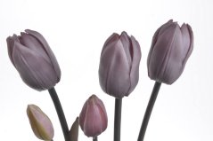 Svazek tulipánů s listy, 5 ks (3 květy + 2 poupata) 46 cm, barva 07