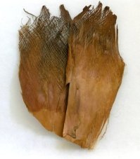 Přírodní kůra palm bakla - 500g v bal
