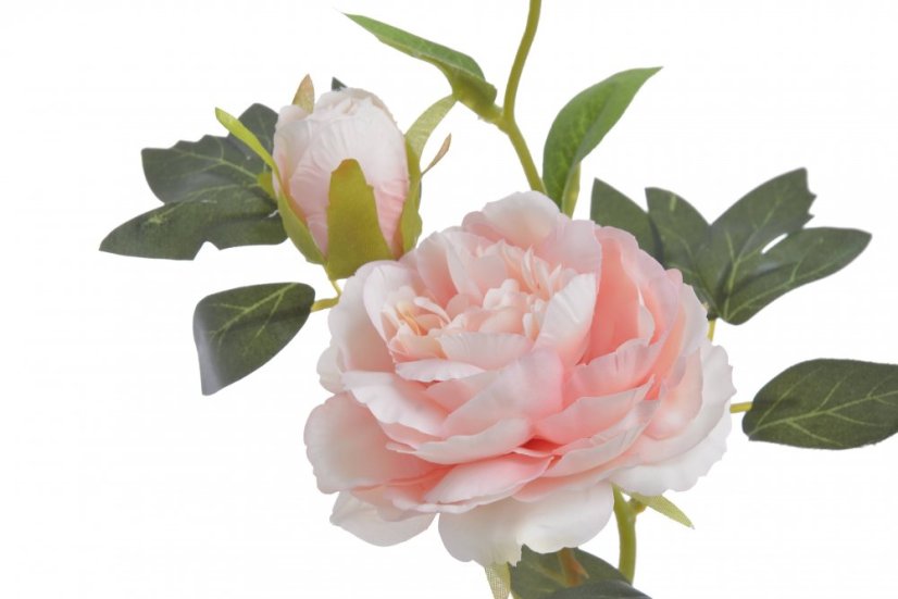 Umělá pivoňka s 2květy a poupětem, květ Ø7cm/ celková dl.67cm