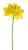 Umělý narcis dl.42cm - 3 květy