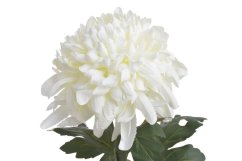 Chryzantéma na stonku s listy, 73 cm