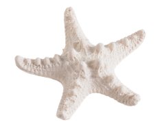 Letní dekorace umělá mořská hvězda vel. 7cm