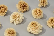 Přírodní dekorace Cedar rose wyb 5-6cm - 10 ks