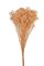 Svazek preparovaného Crystal Grass 120g