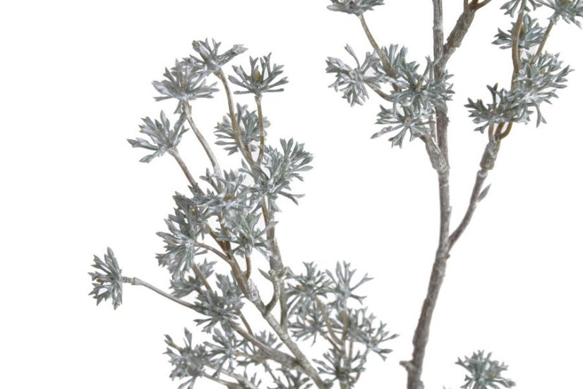 Vánoční dekorace - barvená větvička skimie dl. 64cm - zápich