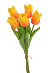 Tulipán papouščí 5 ks ve svazku s listy, 32 cm, barva 22