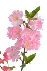 Umělá kvetoucí větvička višně dl. 50cm