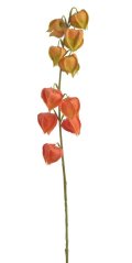 Umělá kvetoucí rostlina Mochyně Physalis dl. 78cm - zápich