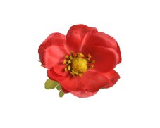 Hlavička umělé anemone - sasanky, hlavička Ø 6cm - 12ks