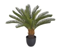 Umělá rostlina cykas v květináči, květináč Ø 15cm, celkem 74cmH