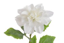 Umělá květina kvetoucí dahlie, květ Ø 12cm, dl.56cm