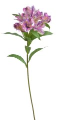 Umělá kvetoucí alstromerie dl. 82cm