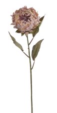 Umělý květ protea na stonku, květ 10cm/dl.72cm