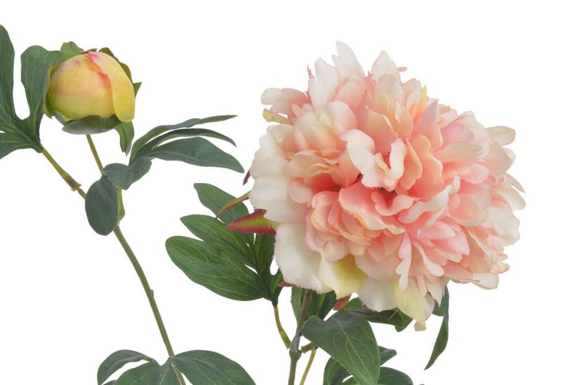 Umělá pivoňka s květem a poupětem, květ Ø13cm/dl.70cm