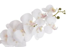 Umělá orchidej lata 9 květů, květ 10 cm, dl. 102cm