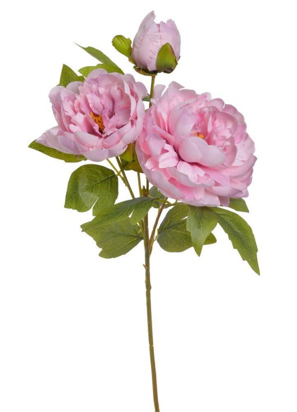 Umělá pivoňka s 2květy a poupětem, květ Ø14 a 10cm, celková dl.55cm