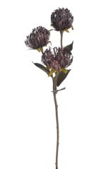 Umělý kvetoucí Leucospermum 3 květy dl. 68cm