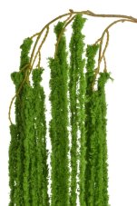 Umělý převislý amarant 175 cm