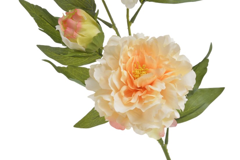 Umělá pivoňka s 2květy a poupětem, květ Ø12cm/ celková dl.89cm