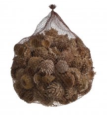 Přírodní dekorace Acorn Cones 2,5-5cm - 1kg