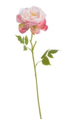 Umělá rozkvetlá pivoňka - květ Ø 10 cm, dl. 66cm