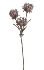 Umělý kvetoucí Leucospermum 3 květy dl. 68cm