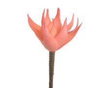 Umělý sukulent 16cm
