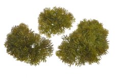 Umělý mech 3 ks - 14cmLx11cmW, 13cmLx9cmW, 10cmLx8cmW
