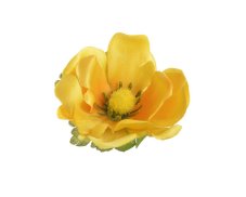 Hlavička umělé anemone - sasanky, hlavička Ø 6cm - 12ks