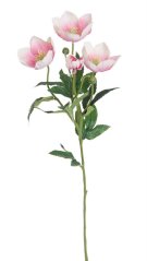 Umělá čemeřice 7cm/62cm 209CAN04024_04