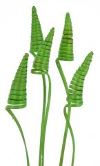 Přírodní dekorace cane cone dl. 60cm - 25ks- zelená jarní