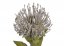 Umělá rostlina kvetoucí bodlák Leucospermum  12cm/73cm