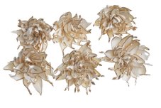 Přírodní dekorace Shola spike flower 6cm - 6ks