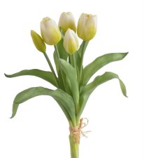 Svazek gumových tulipánů, hlavička 4,5cm, dl. celkem 30cm