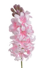 Umělý kvetoucí hyacint, květ dl.16cm, dl. celkem 50cm