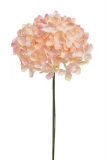 Divoký bez svazek 6 stonků s kvítky, dl. 22 cm, barva 22