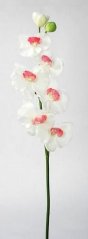 Umělá orchidej s šesti květy, květ Ø9cm/dl.67cm