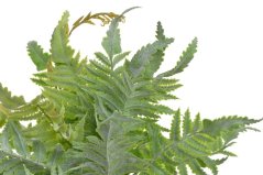 Trs umělého kapradí dl. 31cm