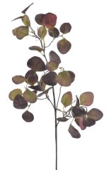 Umělá rostlina větvička eukalyptus populus, - zápich dl. 70cm_02
