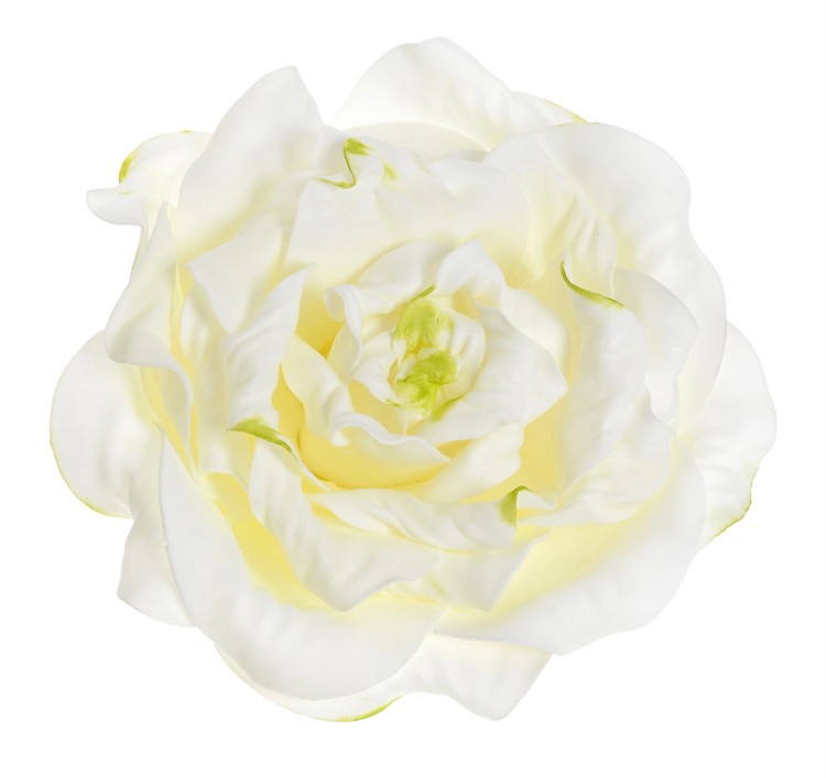 Velká pěnová hlava růže Ø24cm, H10cm