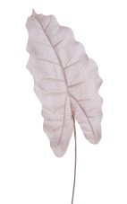 Dekorace umělý list alokacie dl. 53cm_19