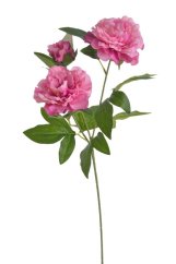 Umělá pivoňka na stonku, 2 květy a poupě, hlavička Ø11cm/dl.62cm