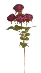 Umělá usušená růže na stonku 4 květy  s listy,  hlavičky Ø 8cm, dl.64 cm
